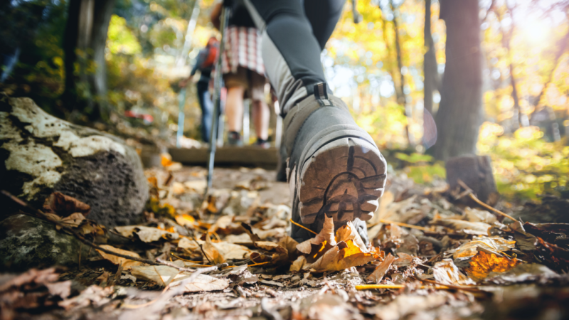 wandern in der nähe : camping was ist eigentlich wandern