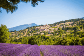 Sichere Reiseziele 2026: Diese Länder überraschend negativ