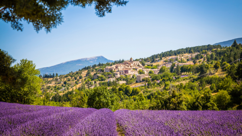 südfrankreich: wein und lavendel in der provence roadtrip camping