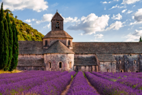 Wein und Lavendel in der Provence: Roadtrip durch Südfrankreich