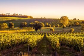 Roadtrip in Bordeaux: Auf der Straße der Weinschlösser durch das Médoc