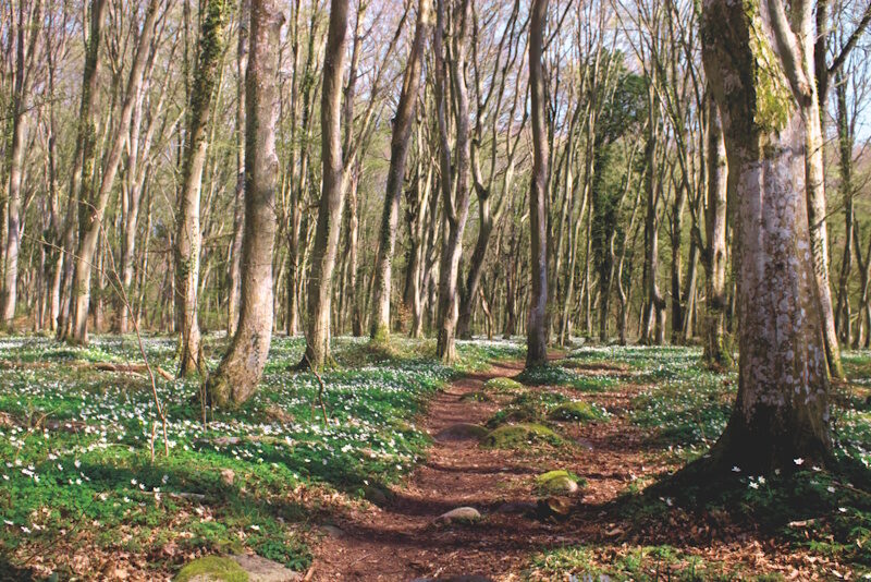 Outdoor Abenteuer in Schweden