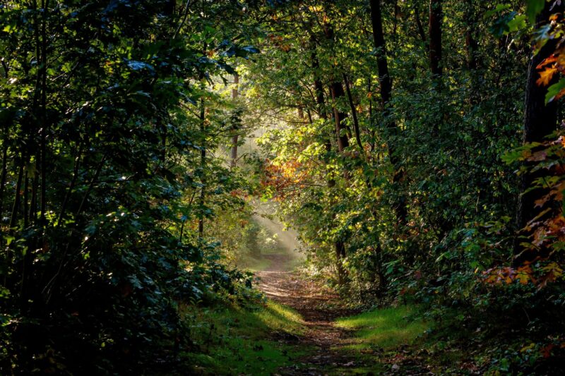 Nationaal Park De Loonse En Drunense Duinen