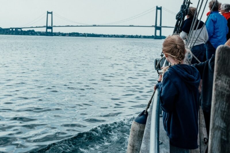 Hvalsafari-Fredericia-Destination-Trekantomraadet-Denmark