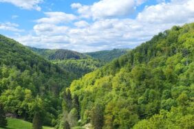 Campingplatz in Zorge im Harz: Waldwinkel öffnet bald wieder