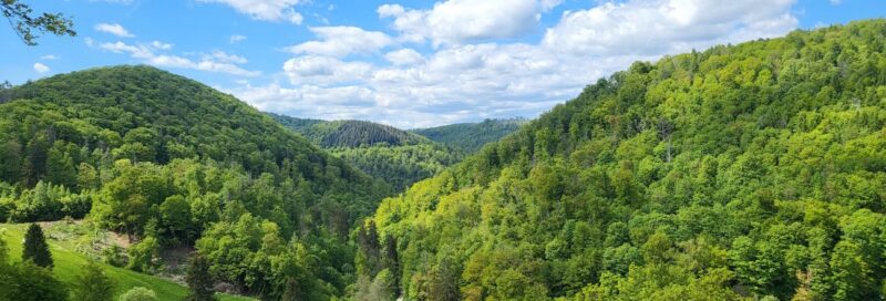 Campingplatz im Waldwinkel