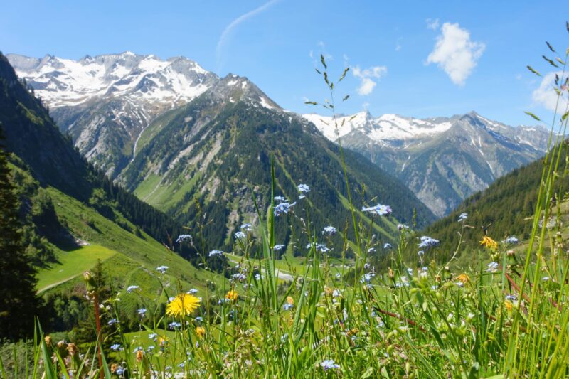 Die große Alpenfahrt: Von Bayern nach Kärnten