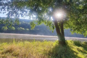 Der Camping-Check 2026: Neue Folgen starten im Wesertal und Mainglück