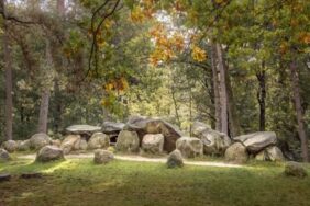 Camping in Drenthe bedeutet Erholung inmitten weiter Heidelandschaften, stiller Moore und ursprünglicher Natur. 