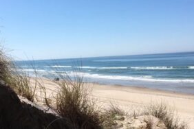 Traumurlaub in Dänemark direkt an der Nordseeküste