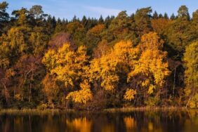 Campingurlaub in Dänemark: Die schönsten Regionen