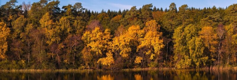 Herbst in Dänemark
