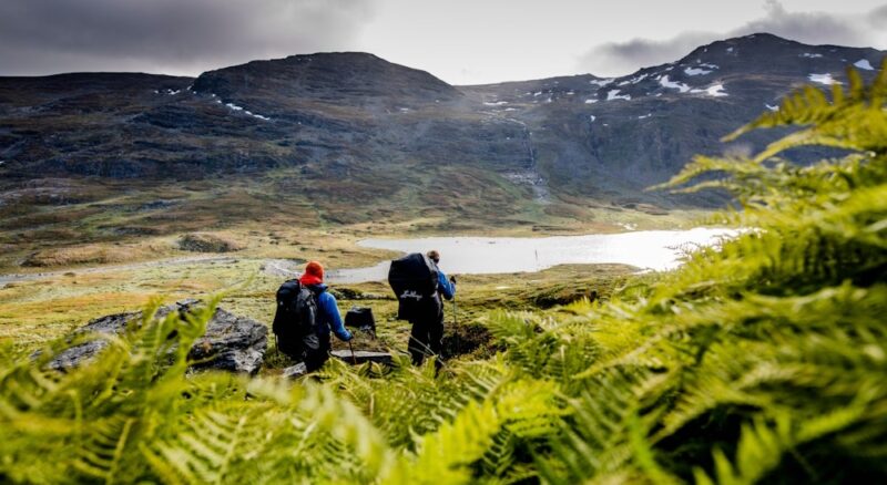 Wandern am Vildmarksvägen - Carl-Johan Utsi - imagebank.sweden.se