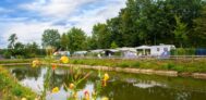 Platz 2: Papillon Country Resort